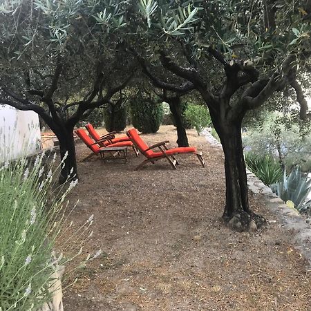 Le Clos En Provence Flayosc Bilik gambar