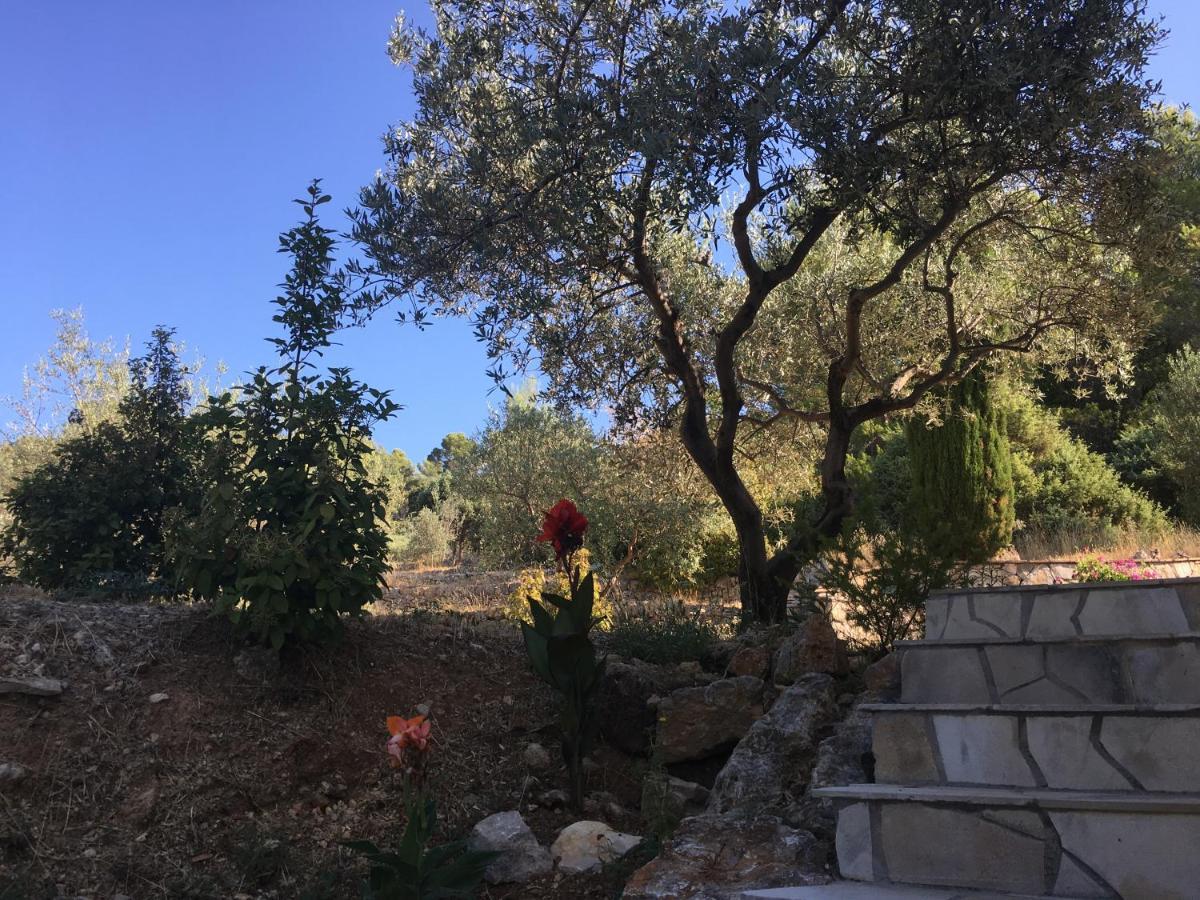 Le Clos En Provence Flayosc Luaran gambar