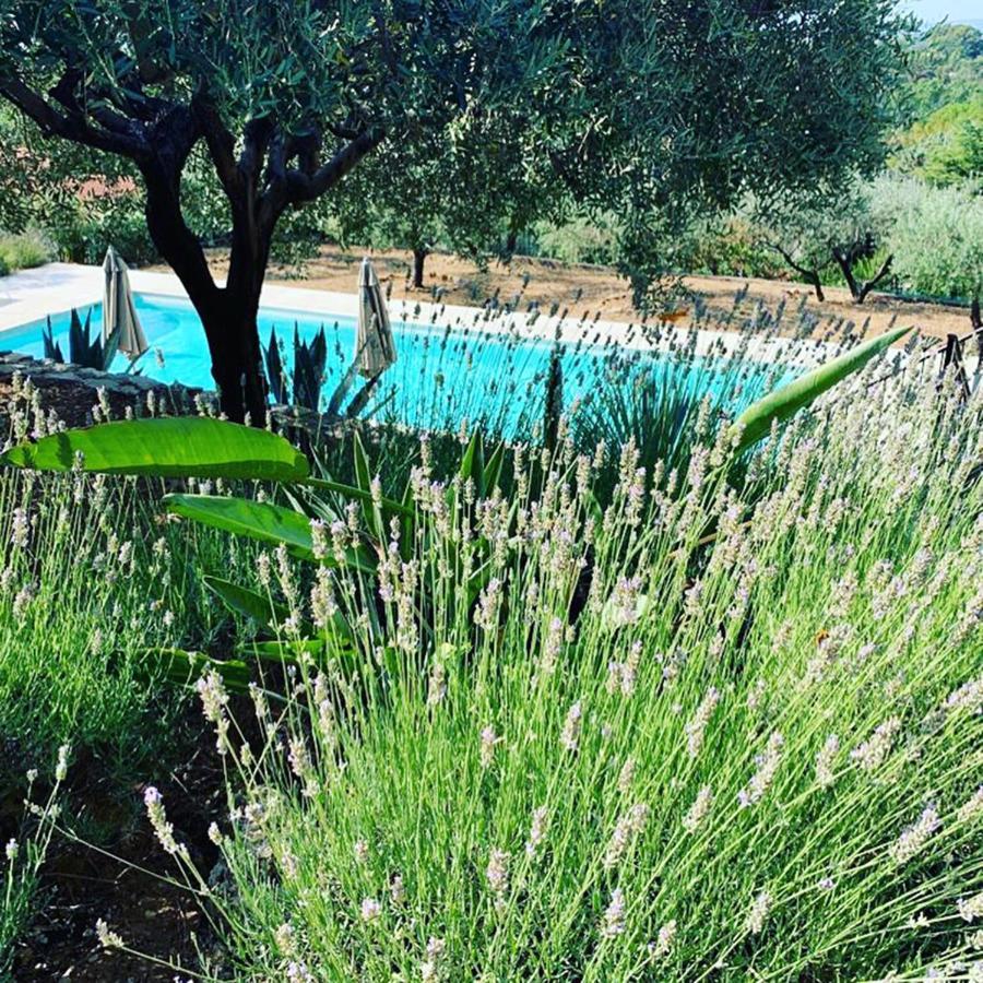 Le Clos En Provence Flayosc Luaran gambar