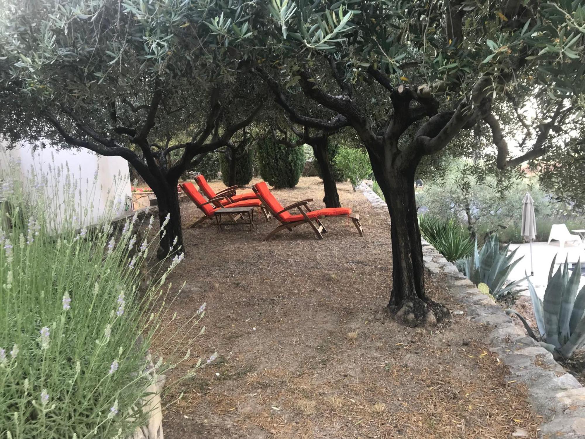 Le Clos En Provence Flayosc Bilik gambar
